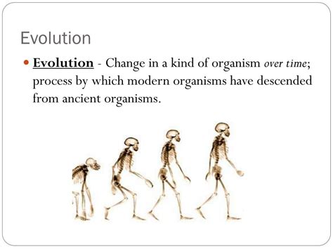 Ppt Evolution And Adaptation Notes Powerpoint Presentation Free