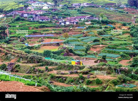 Sri Lankan Mountain Village Where Peasants Working On Tea Plantations