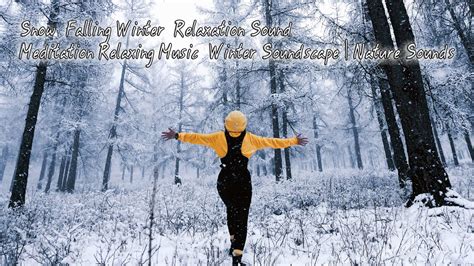 Soothing Relaxation Snowfall Relaxation Meditation Relaxing Music