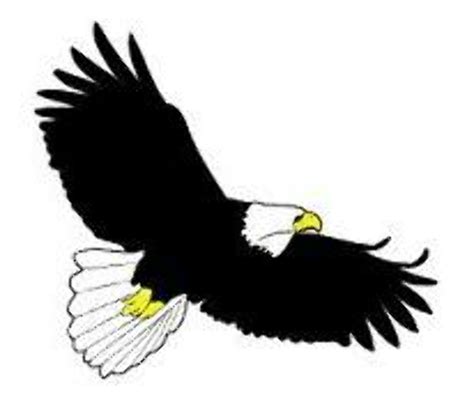 Download High Quality Eagle Clipart Soaring Transparent Png Images