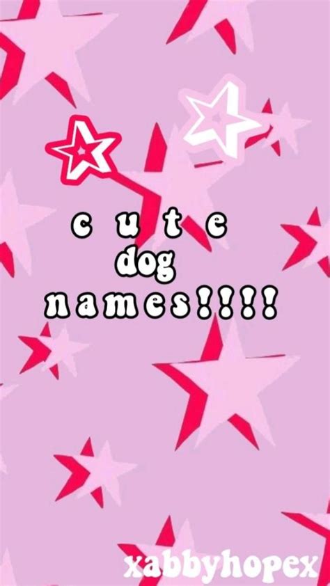 Cute Names For Dogs Very Cute Dogs Cute Names For Dogs Really Cute