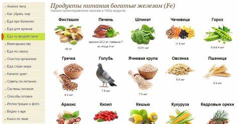 Диета богатая белками меню Диета Богатая Белками И Железом — Похудение Диета Правильное Питание Диета Богатая Белками И Железом — Похудение Диета Правильное Питание Диета богатая белками меню