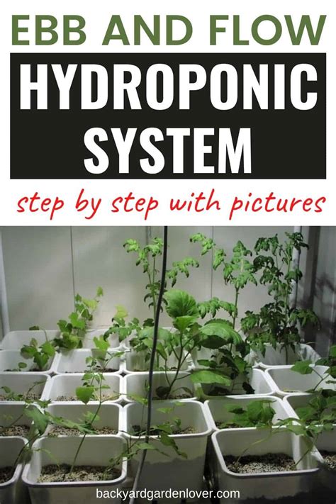 Diy Ebb And Flow Hydroponic System Step By Step With Pictures