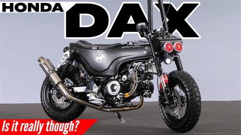 Wild New 2023 Honda Dax 125 Big Motocompo Motorcycle Youtube