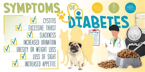 Dog Insulin Types Chart