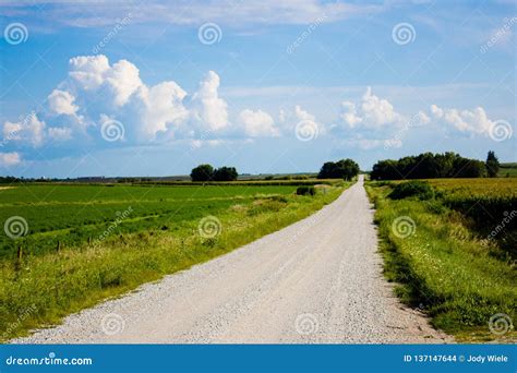 Gravel Road In The Midwest On A Sunny Day Stock Photo Image Of