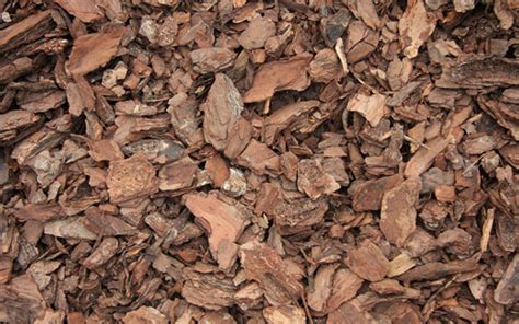 Pine Bark Landscape Mulch For Sale North Fort Myers