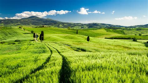 壁纸 托斯卡纳，意大利，绿色的田野，春天 2560x1440 Qhd 高清壁纸 图片 照片