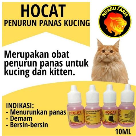 Jual Hocat Ml Obat Penurun Demam Panas Pada Kucing Ndarufram