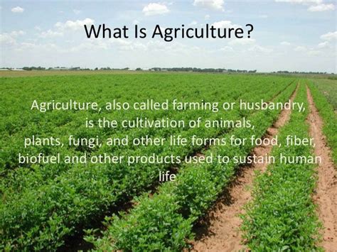 Agriculture remains to be a great player in the generation of revenue and a source of food for many people all over the world. What is the Meaning of farmer - DriverLayer Search Engine