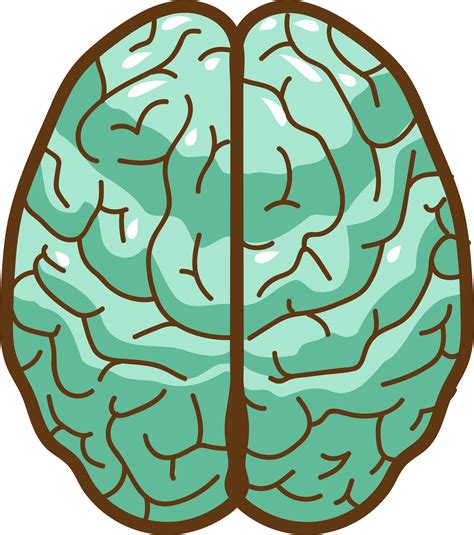 Brain Png Graphic Clipart Design 19806996 Png