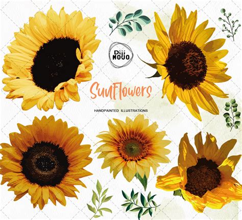Sunflower Svg Girasol Clipart Girasoles Archivos Svg Etsy