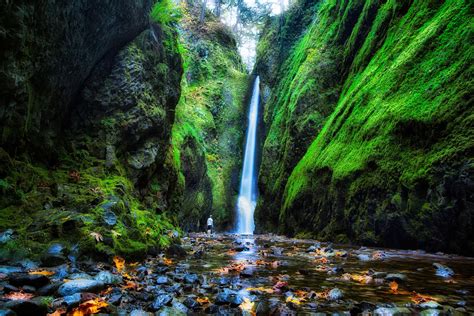 Usa Waterfalls Oneonta Falls Oregon Moss Crag Nature Autumn F Wallpaper 2400x1600 349188