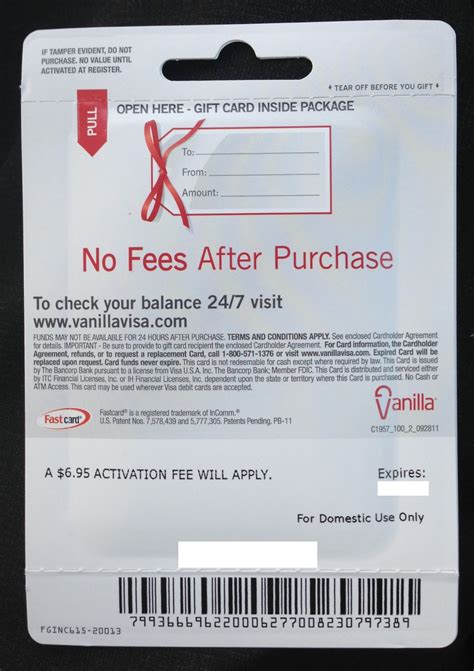 Vanillagift.com is selling visa gift cards with no purchase fee, today only (12/10/20) with promo code flash2020. Relentless Financial Improvement: Feeding your Bluebird ...