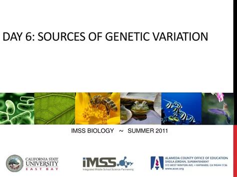 Ppt Day 6 Sources Of Genetic Variation Powerpoint Presentation Free