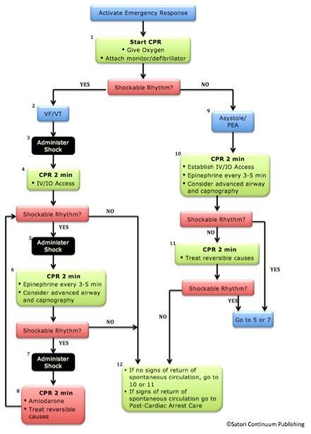 Acls Algorithms Free Printable