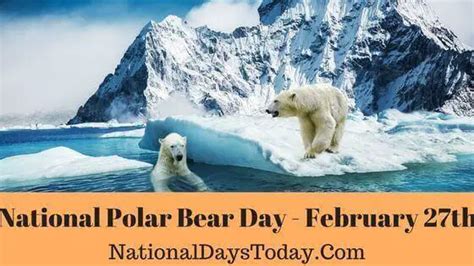 National Polar Bear Day 2023 Things You Should Know