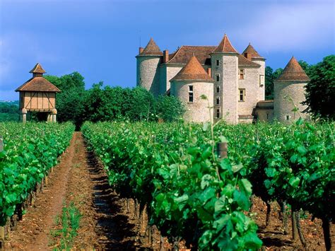 Vineyard Lot Valley France Cahors France Wallpaper France Travel