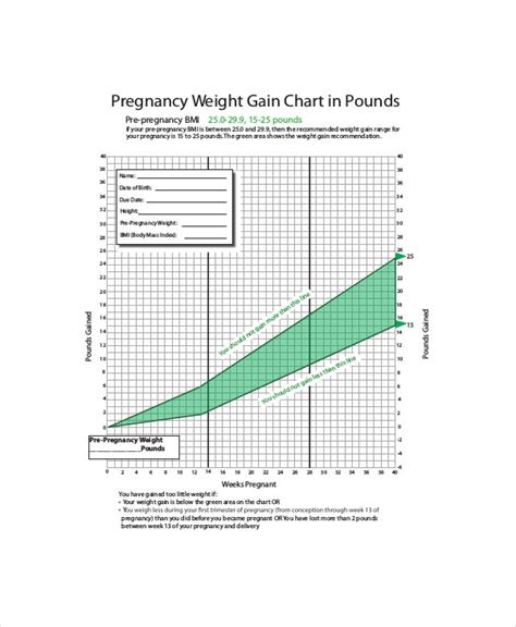 Baby Weight Charts During Pregnancy Template 4 Free Pdf Documents