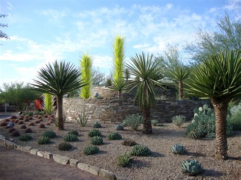 20 Modern Desert Landscaping Plants Photos Landscape Ideas