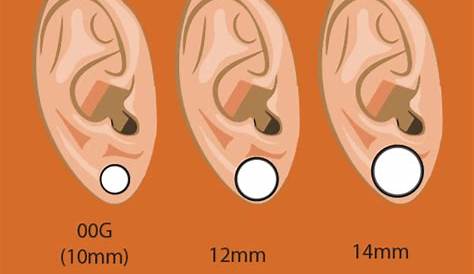 Pin on Ear Stretching | Gauges Kit, Plugs, Tunnels, Tapers, Spirals