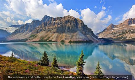 Bow Lake Alberta Canada Hd Wallpaper Beautiful Places In The World