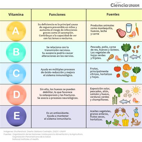 Las Vitaminas ¿qué Tan Responsables Son De Nuestra Salud Ciencia Unam
