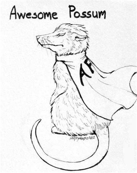 Awesome Possum By Stripeysharpie On Deviantart