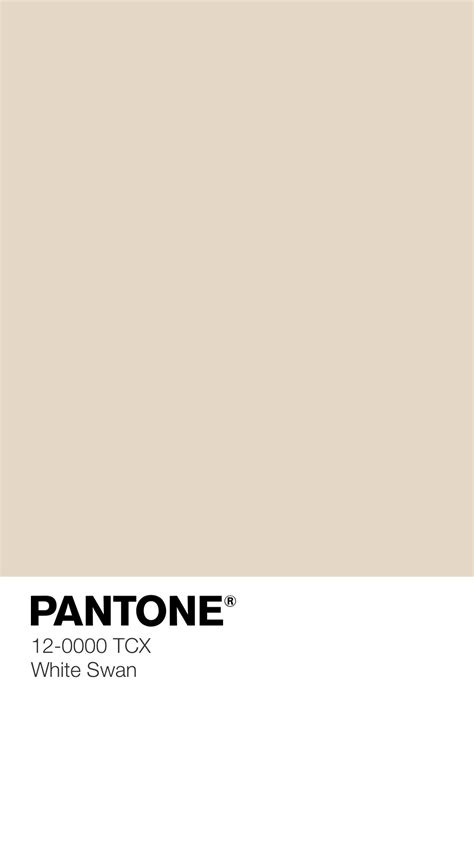 Great Light Beige Pantone 72