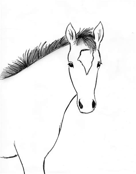 How To Draw A Horse Step By Step Horse Step Drawing Head Half Eyes