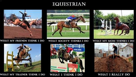 Equestrian Meme Horses Pinterest Equestrian Photos