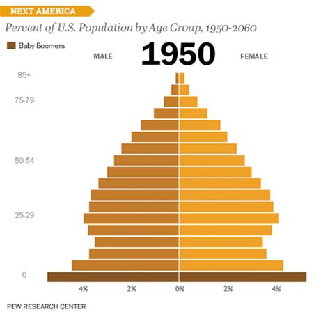 percent of us population by age group data visualization examples data visualization ap