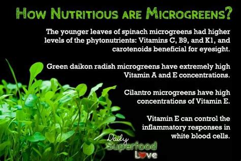 How Nutritious Are Microgreenssprouts With Images Microgreens