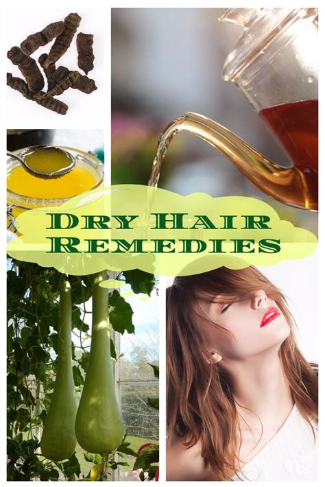 Natural Diy Dry Hair Remedies For Shiny And Healthy Locks