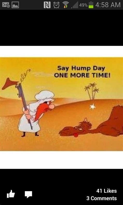 Funny ♡♥♡♥♡♥♡♥ Hump Day Humor Hump Day Pictures Hump