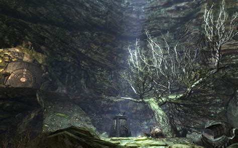 The Elder Scrolls Skyrim Tree Cave wallpaper | 1440x900 | 394279 | WallpaperUP