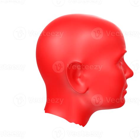 Free 3d Rendering Of Human Bust 18065999 Png With Transparent Background