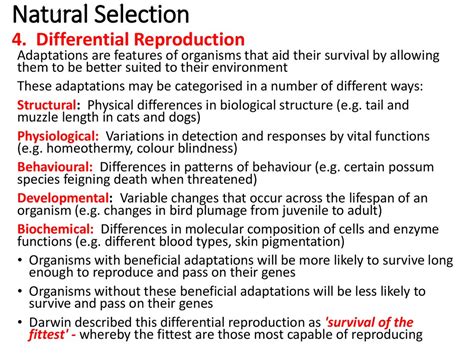 Evolution 3 Genetic Variation презентация онлайн