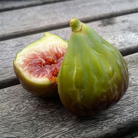 Seattle Garden And Fruit Adventures 2016 Fig Scores