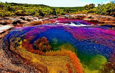 Check spelling or type a new query. Caño Cristales