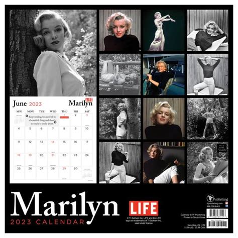 Tf Publishing 2023 Marilyn Monroe Wall Calendar Wall Calendars Michaels