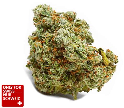 cbd kaufen vapor spirit swiss cannabisblüten acdc