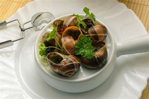 Escargot French Culture Stock Photo Image Of Food Dish 62514672