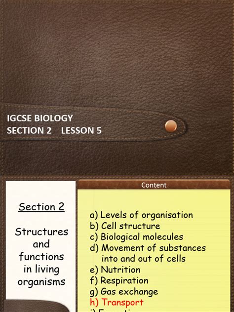 Biology Section 2 Lesson 5 Pdf