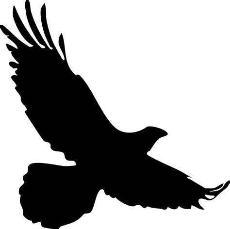 Osprey Silhouette At Getdrawings Free Download