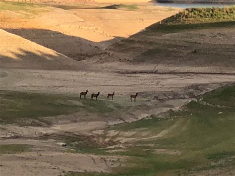 Check spelling or type a new query. El Vado Lake State Park (Tierra Amarilla) - 2020 All You ...