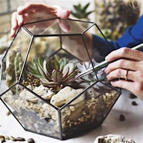 Unique gifts for gardeners nz. Large Geometric Glass Terrarium Container | Gifts for ...