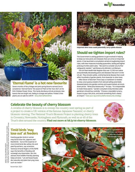 Bbc Gardeners World Magazine November 2021 Back Issue