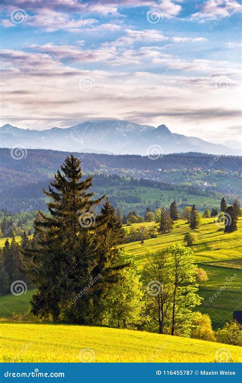 Evening Light In Spring Sunset In Tatra Mountains Poland Stock Image