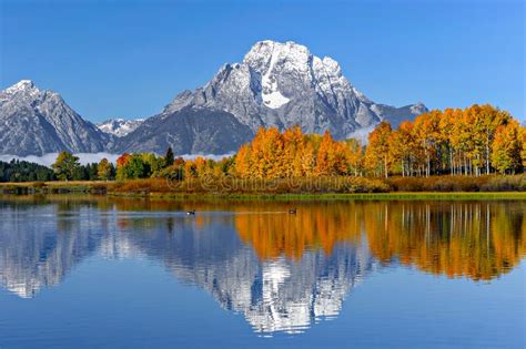 Mount Moran Reflections In Fall Stock Image Image Of Mount Blue